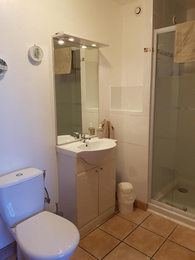 Les Trois Lions Apartment Foix Ngoại thất bức ảnh