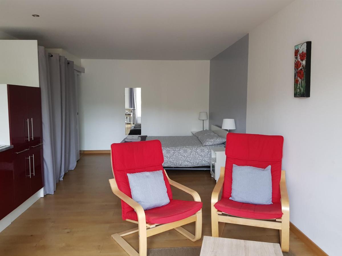 Les Trois Lions Apartment Foix Ngoại thất bức ảnh