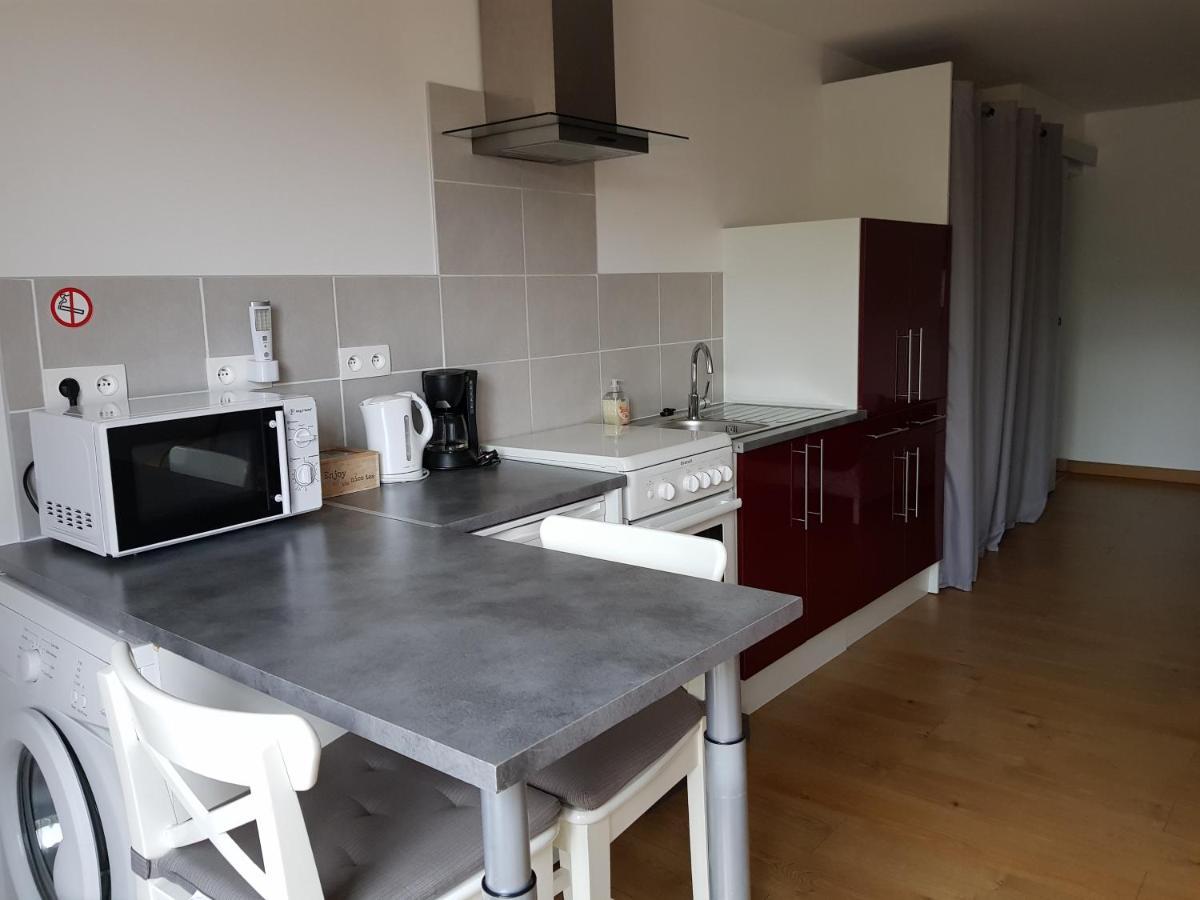 Les Trois Lions Apartment Foix Ngoại thất bức ảnh
